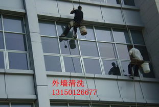 慶陽雅潔居家政保潔——專業保潔，品質之選